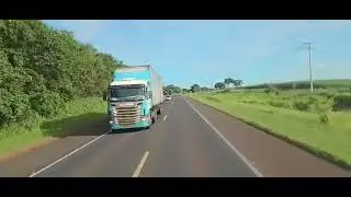 Partiu Goiás sai cachorro