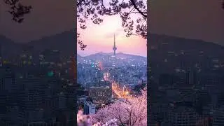 Korean #korean #kpop #kdramalovers #ytshorts #love #wallpaper #cute #trendingshorts #beautiful