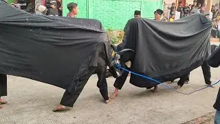 Banteng tarung ki ageng macan putih feat taruna sejati live sukorejo