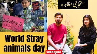 STOP Animal Cruelty On World Stray Animals Day | World Stray animals day | Stop animal cruelty
