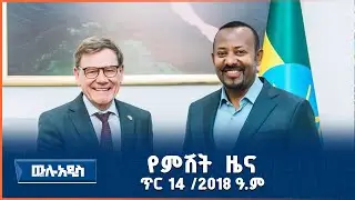 AMN - 24/7 ጥር 14/2018 ዓ.ም የምሽት 1፡00  ዜና
