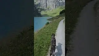 Spaziergang am See mit Hund 🐶❤
