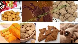 Core Chocolate filling snacks bar extruder machine  Double screw extruder  capacity 500 kg per hour