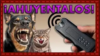 &iexcl;Ahorra problemas! C&oacute;mo funciona el ahuyentador ultras&oacute;nico para gatos y perros 🐶🐱🔊