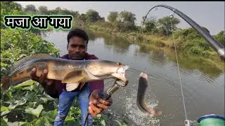 Big Monster Marral Fish Hunting || Spoon Fishing || Snakehead Fish Catching || Royal Fisher