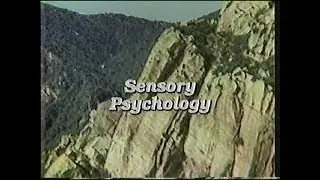 Understanding Human Behavior - Sensory Psychology (Ep. 6 of 30)