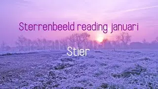 Sterrenbeeld reading januari: Stier
