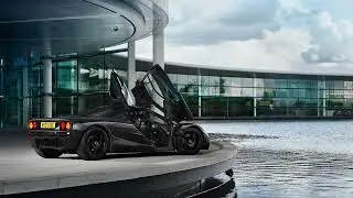 F1 Freedom