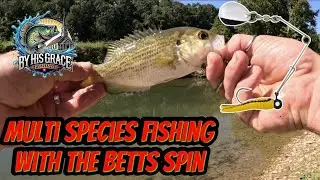 Betts Spin, multispecies creek fishing. 