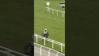 Midweek British double for team Mullins #horse #horseracing #racingtv #sport #britishhorseracing