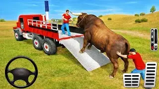 Animal Zoo Transport Truck Driving Game 3D - Real Zoo Transporter Truck Driver - Android Gameplay