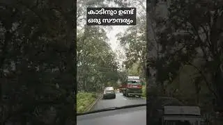 #കാട്ടിലൂടെ ഒരു യാത്ര പോയാലോ 🌲#A Journey in the Wood#