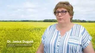 DefendR Clubroot Canola Varieties from BrettYoung
