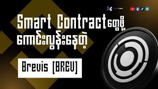 Smart Contract တွေကို Supercomputer လို စွမ်းရည်မြင့်တင်ပေးမယ့် Brevis (BREV)