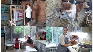 СБЫЛАСЬ МЕЧТА!!!🤱🥰🐄🐖🍗