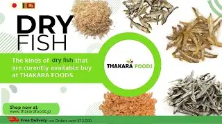 The variety of dry fish that are available to buy | Thakara Foods