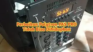 Невозможно включить службу динамиков Polytron PAS PRO 15F3