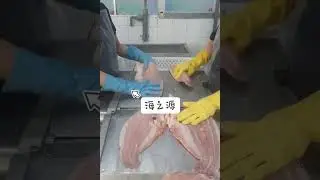 Fish skinning machine #seafoodprocessing #fillet #fishprocessing #food #machine