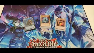 TOP 8 REGIONALS - SPRIGHT MELFFY - R&uacute;ben Chor&atilde;o