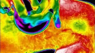 BelleCore Thermal Image Video