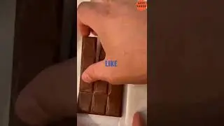 Great focus