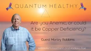 Are you Anemic, or could it be Copper Deficiency? with Morley Robbins