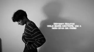 DDream Source - NON S'HA DA FARE! (Visual)