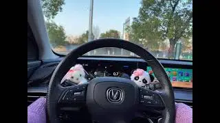 little kitten, Huahua bear. Let them be kept in your arms, and drive with you every day in the car.