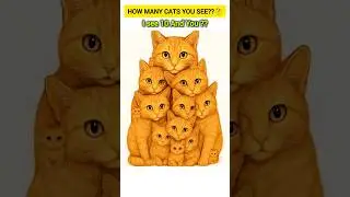 🔴 99% Wrong 🤯 How Many Cats You See?? 🤔| I See 10 And You??🤔🤷🏻&zwj;♂️ Best Of Luck 🤞🏻