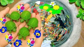 Catch Beautiful Aquarium Fish In Small Pond Baby Turtles, Guppies, Pencil Fish, Eel, Koi, Betta Fish