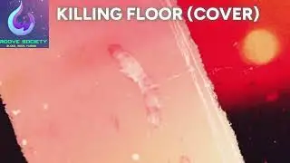 Groove Society - The Annex - Madison, WI - Montage