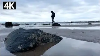 Winter Gloomy Beach Walk | 4K and Binaural Sound to Relax