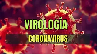 Coronavirus | Generalidades | Ciclo de replicaci&oacute;n, identificaci&oacute;n | Virolog&iacute;a Tema 5 | Microbacter