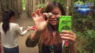 Promo video: Paronella, Herberton Village and Crystal Cave Day Tour with Infinity fun Travels