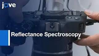 Reflectance Spectroscopy for Capillary Refill Test Under One's Thumb | Protocol Preview