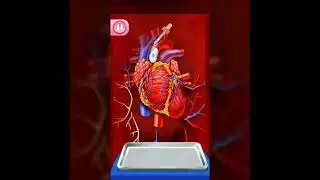Open Heart surgery Doctor Game : offline doctor game | zero Android | full gameplay coming soon.....