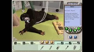 Mario The Chimpanzee Scenario 1 | Zoo Vet (PC)