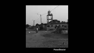 Balafon de Djoumalin Tiala  en 1981 à Zanaplé/Ouangolo - NCI