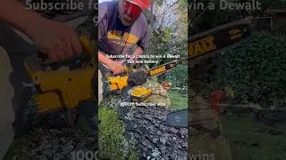 Dewalt Brushless Chainsaw Powerstack comparison.