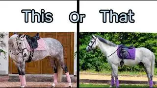 This or That (Equestrian Edition) 🐴