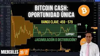 🚀 BITCOIN CASH (BCH): The Cryptocurrency That Ignores Crashes? (Unique Opportunity 2025-2026)
