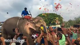 Thechikottukavu Ramachandranന് ഓച്ചിറ പരബ്രഹ്മ ക്ഷേത്രത്തിൽ നൽകിയ ഗംഭീര സ്വീകരണം