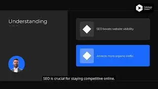 Chicago SEO Explained 2024