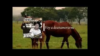 Jorge Guerrero - Voy a Desenamorarme