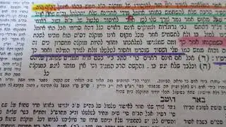 ברית מילה בשבת . האם מותר לטלטל האיזמל אחר הברית מילה ? הט''ז אוסר