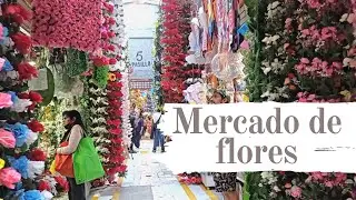 MERCADO DE FLORES  EN  LA MERCED CDMX! visita uno de los mercados mas famosos de la merced