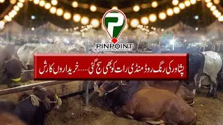 Peshawar Ring Road Mandi Decorated at Night Latest Updates 2021 | PINPOINT