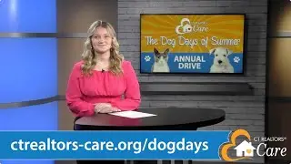 CT REALTORS Care - Dog Days of Summer 2025