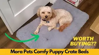 Mora Pets Cat Bed Comfy Puppy Crate Beds Plush Cat Sleeping Mat Washable Pets Mattress - Worth It?