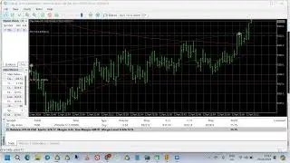 MY HEBRON STEP INDEX EA